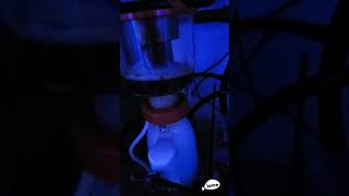 Reef Octopus eSsence 130 Skimmer Performance