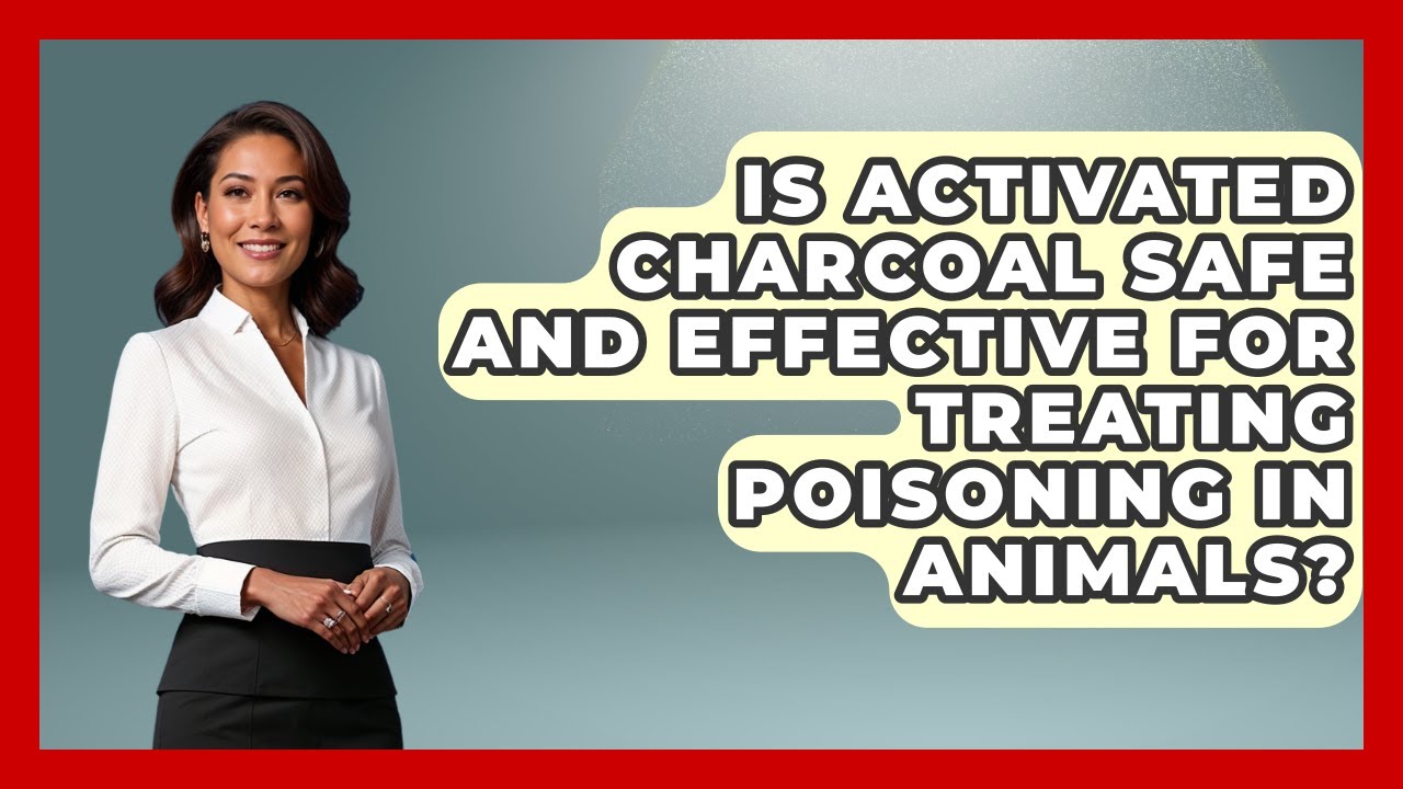 Is Activated Charcoal Safe And Effective For Treating Poisoning In Animals?