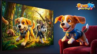 12 Hours of Cartoon for Dogs to Watch 🐶 TV for Dogs to Watch for Deep Rest 🐾 Dog Music to Relax screenshot 5