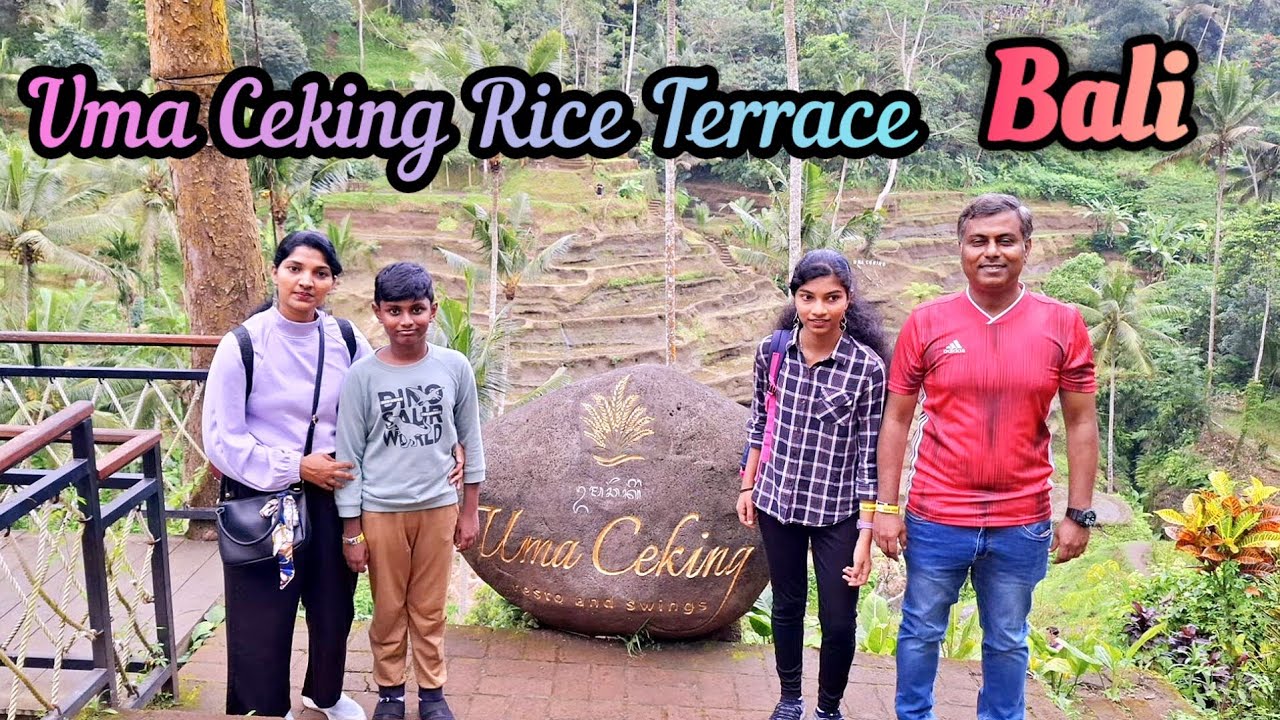 Rice Terrace   ||   Bali  ||  Indonesia