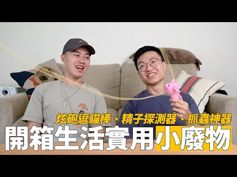 人類也為之瘋狂的逗貓棒！開箱生活實用小廢物！｜什麼意思｜