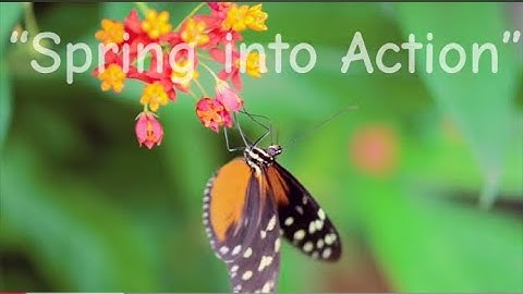 Spring song for kids “Spring into Action”