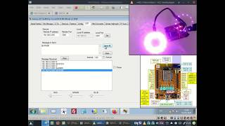 Celebrity Annex Simple UDP NeoPixels Controller Net Worth