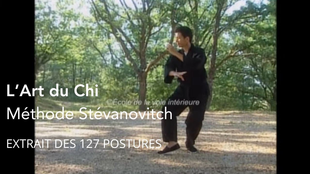L'Art du Chi- Les 127 postures EXTRAIT- Michèle Stévanovitch- Taï Ji Quan