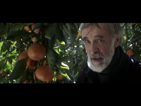 21 მაისს, 21:00 საათზე - პირველ საზოგადოებრივზე, ზაზა ურუშაძის ფილმი \"მანდარინები\" (12)