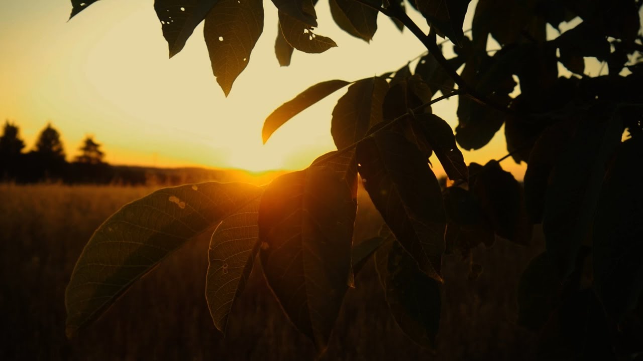 Imagefilm für die Hamsterbacke e.V. Bayreuth