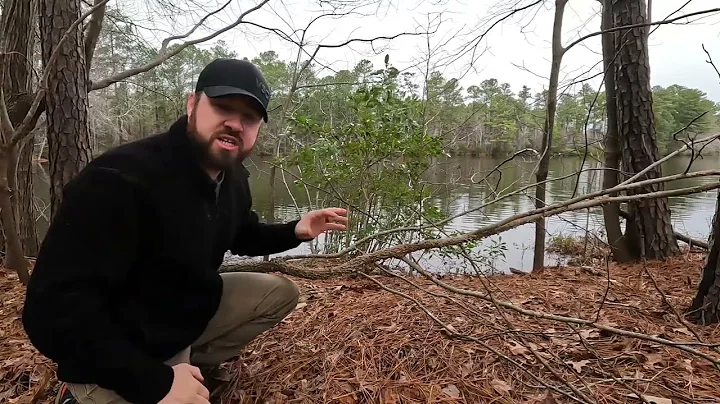 Compression vs. Tension Cutting