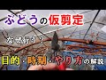 ぶどうの仮剪定 目的・時期・やり方について