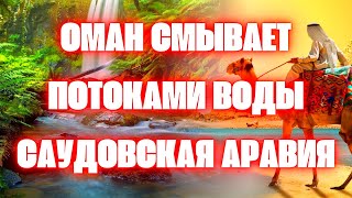 Саудовская пустыня в Омане превращается в джунгли! Чудо в пустыне 29 февраля 2024