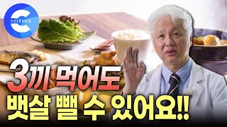 세끼 식사를 정량으로 먹으면 살이 빠진다고 잘 먹고 잘 빼는 법  ? 운동 | 다이어트 | 복부비만