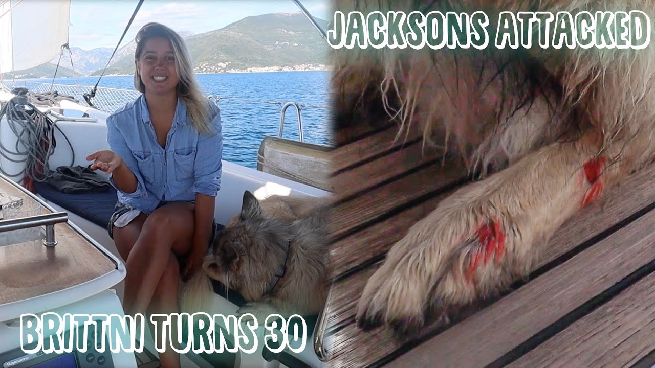 Jackson Attacked by Street Dogs | Traveling Montenegro | Sailing Sunday Ep. 41