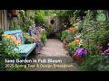 Spring 2025 Garden Trend: See June’s Most Beautiful Blooms + Design Tips for Every Gardener