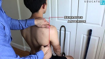 Scapular Abduction and Upward Rotation MMT