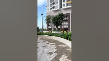 Cây xanh ở căn hộ Q7 Sài Gòn Riverside | Căn hộ vui vẻ