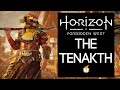 Lore of Horizon Forbidden West: The Tenakth