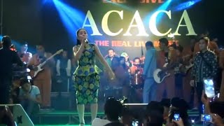 Kupu Kupu-Lesti Kejora FT ACACA (THE REAL LIVE MUSIC)