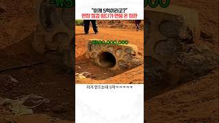 두쫀비 대표 영상 썸네일