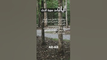 ايات من سورة النحل 62 - 63