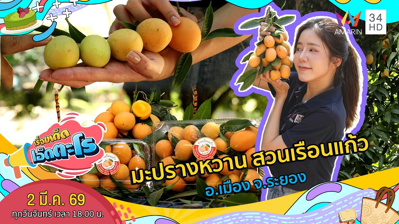 มะปรางหวาน สวนเรือนแก้ว อ.เมือง จ.ระยอง | เรื่องเด็ดเอ็ดตะโร | 2 มี.ค. 69 (3/4)