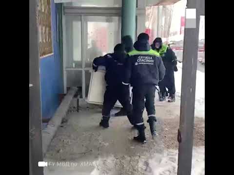 Нижневартовск: акция по спасению медведицы #shorts
