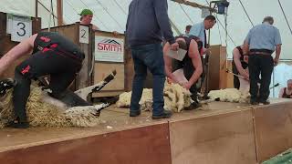 Sheep Shearing Lesmahgow 2023 Open Final