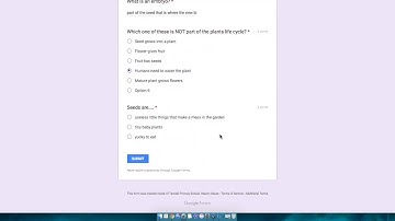 Google Forms - Self-marking quiz