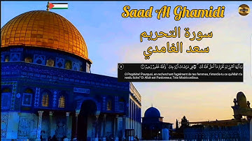 سعد الغامدي  |سورة التحريم| مكررة| Saad Al Ghamidi| Sourate Al Tahrim