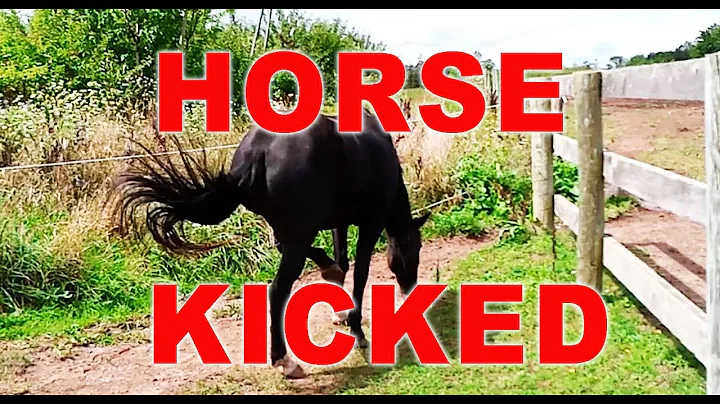 Horse Kicked Twice. Jim Fetty's Encounters With Ho...