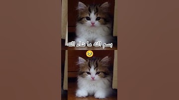 تلاوة عطرة من القرآن الكريم 🌙 #اكسبلور #المصحف #قران_كريم #قرآن