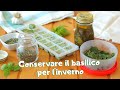 🌱COME CONSERVARE IL BASILICO FRESCO PER L'INVERNO 🌱 how to store basil for the winter