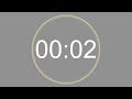2 SECONDS - 4K - COUNTDOWN IN REVERSE - SECOND TIMER -