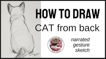 How to Draw a Siamese Cat from the back side, sitting down Oriental Shorthair, quick and easy view!