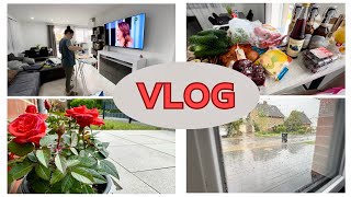 ВЛОГ🇩🇪  Что купить: дом или квартиру?! | розы замерзли?|закупка продуктов на 60€ |Жизнь в Германии