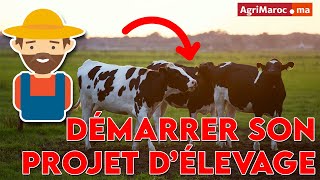 Comment investir dans l'agriculture ? Projet d'élevage laitier au Maroc - Partie 1 screenshot 5