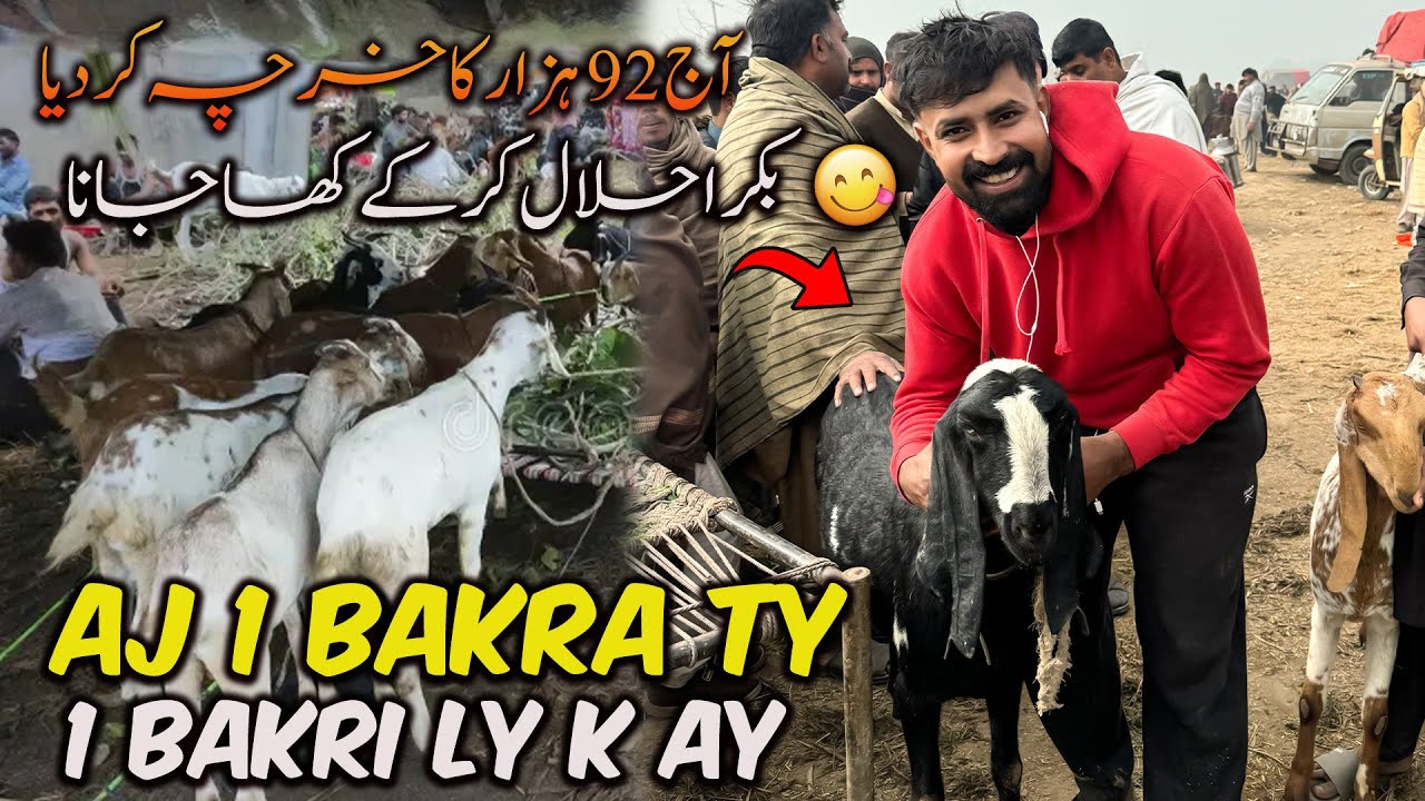 AJ ASI 1 BAKRA TY 1 BAKRI LY K AY | بکرا حلال کر کے کھانا ہے 😆