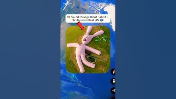 I Found Strange Giant Rabbit 🐇 on google earth and google maps 🌎! #shorts #findmysterioussecrets
