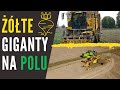 ŻÓŁTE GIGANTY NA POLU! +AMINOKWASY I 100 TON CUKRU