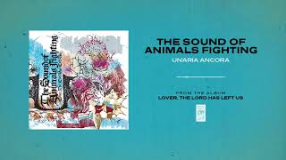 The Sound Of Animals Fighting &quot;Un&#39;aria Ancora&quot;