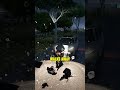 Watch Dogs 2 vs GTA 5 Which Game Actually Wins Watch Dogs 2 vs GTA 5 Which Game Actually Wins