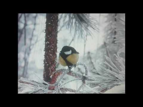 Video: Selle Kuu Esimene Rokkbändi Album