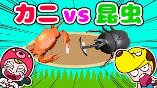 【寸劇】昆虫vsカニ対決！カブトムシやカマキリ・カニ一番強いのはだれだ〜！？子供向け知育教育｜カニノケンカ｜アプリ・ゲーム実況｜ネオスキッズTV screenshot 5