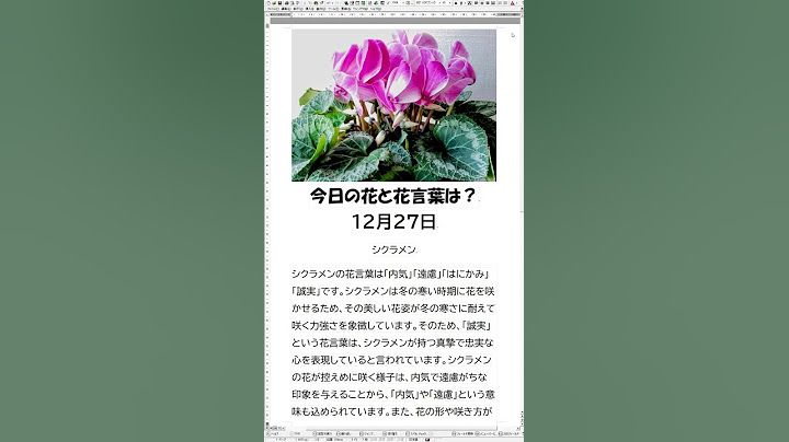 #花#花言葉#お花のある生活#「今日の花と花言葉は？１分で簡単解説 １２月２７日」
