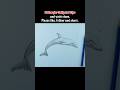 How to Draw a Dolphin Drawing Tutorial please subscribe 