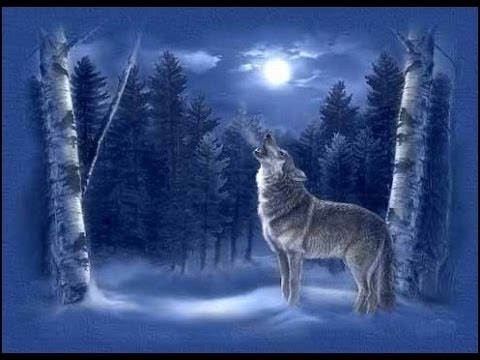 >>>> EL LOBO SOLITARIO <<<< - Página 2 Hqdefault