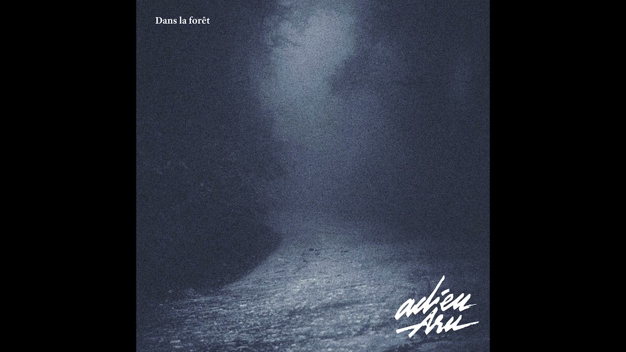 Adieu Aru - Dans la forêt (feat Rozam)