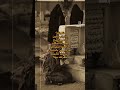 شلونك بالتراب شلون گاضيهاهيج بصورتك ضليت احاجيها المفروض الورد يندفن بالبستان شجابك للگبور شعرفك بيه 