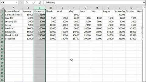 MS Excel: Sorting and Filter | Introduction to Computing | CS101_Topic224