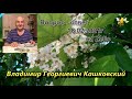 Кашковский Владимир Георгиевич эфир 18. 02. 2021г