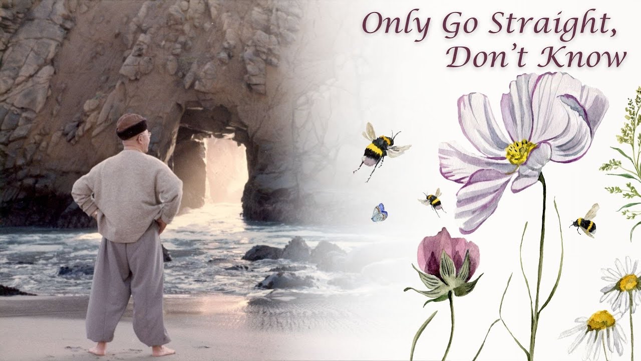 (한글자막) Only Go Straight, Don't Know  |  Zen Master Seung Sahn  |  2002