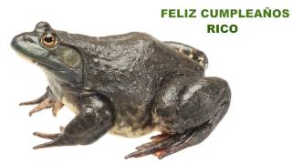 Rico  Animals & Animales - Happy Birthday